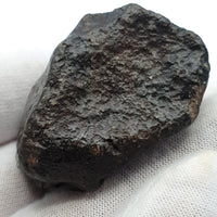 NWA*** (Sin clasificar) - Condrita Ordinaria - Ejemplar Completo - 57.5g - África del Noroeste