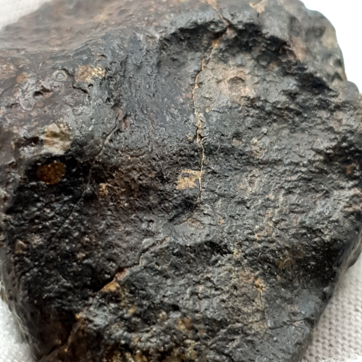 NWA*** (Sin clasificar) - Condrita Ordinaria - Ejemplar Completo - 57.5g - África del Noroeste