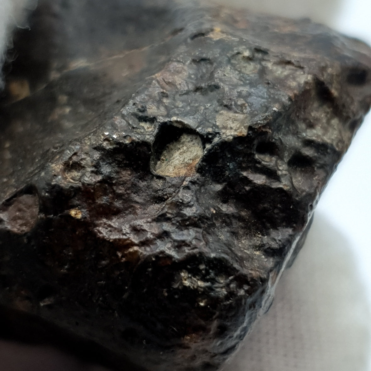NWA*** (Sin clasificar) - Condrita Ordinaria - Ejemplar Completo - 57.5g - África del Noroeste