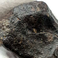 NWA*** (Sin clasificar) - Condrita Ordinaria - Ejemplar Completo - 57.5g - África del Noroeste