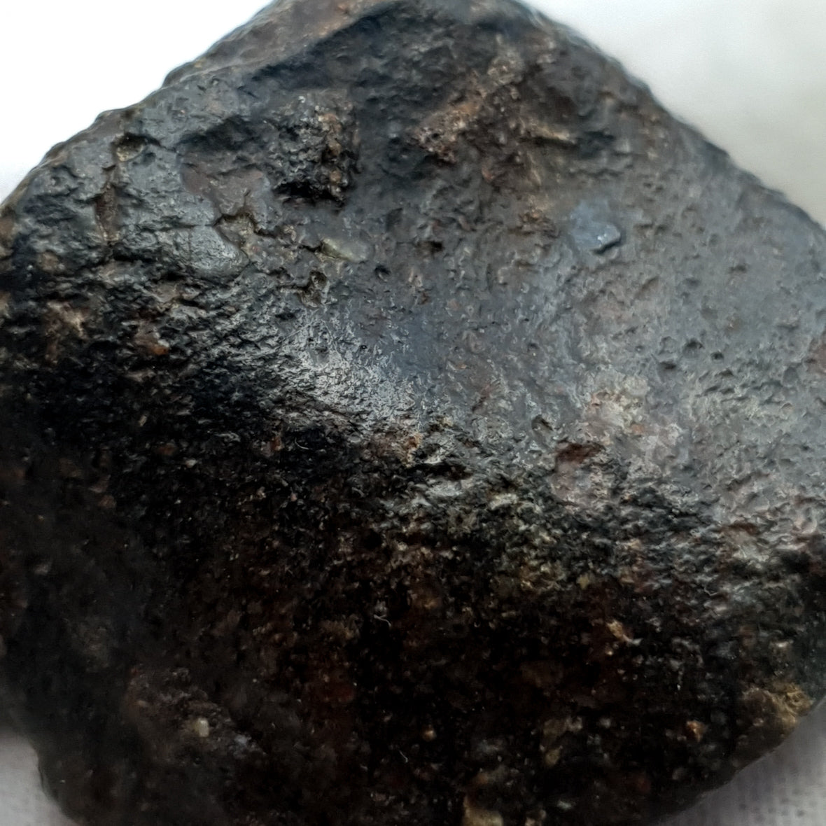 NWA*** (Sin clasificar) - Condrita Ordinaria - Ejemplar Completo - 57.5g - África del Noroeste