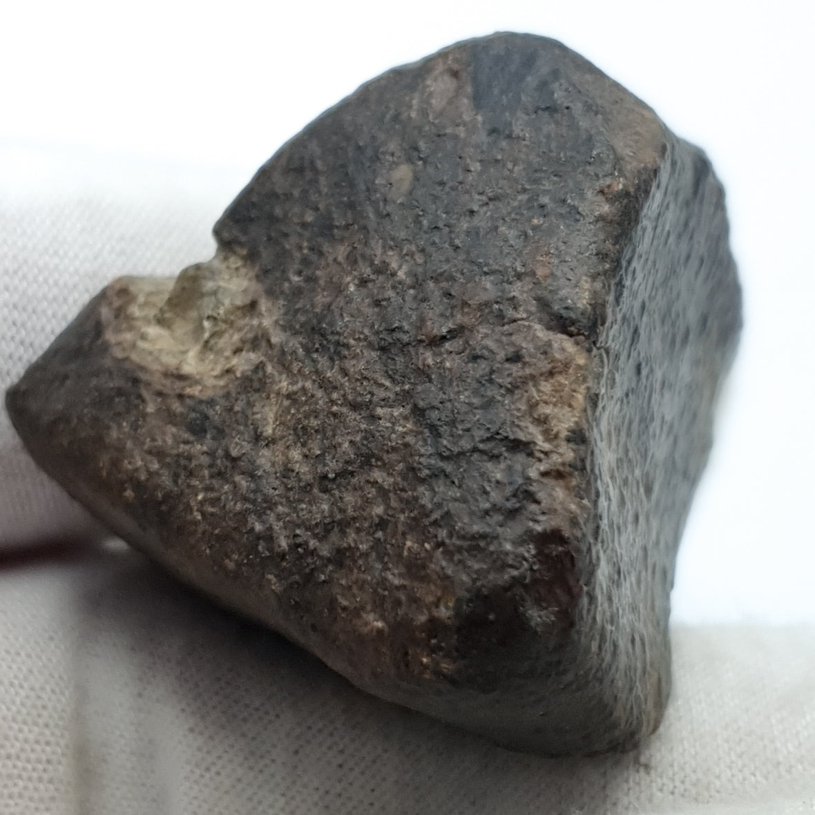 NWA*** (Sin clasificar) - Condrita ordinaria - Individuo completo - 53,1g - África del Noroeste