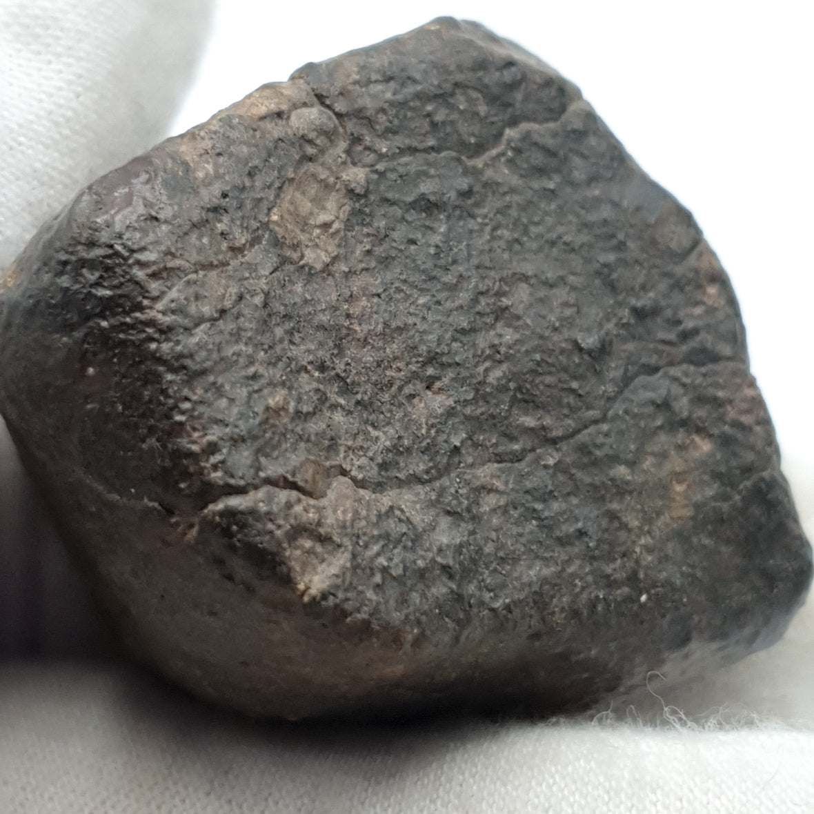 NWA*** (Sin clasificar) - Condrita ordinaria - Individuo completo - 53,1g - África del Noroeste