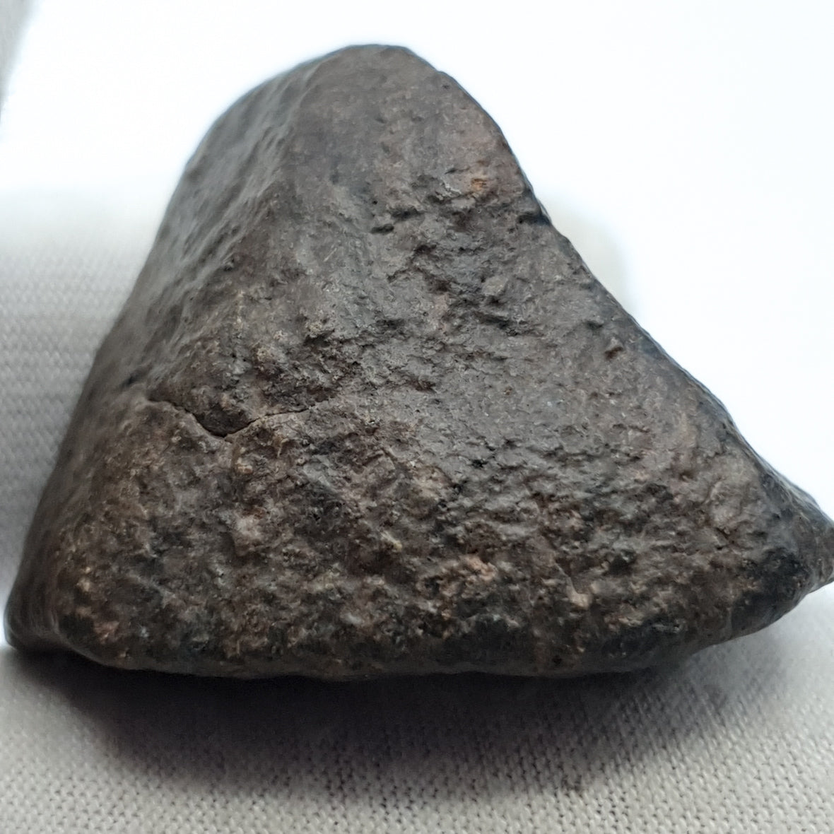 NWA*** (Sin clasificar) - Condrita ordinaria - Individuo completo - 53,1g - África del Noroeste