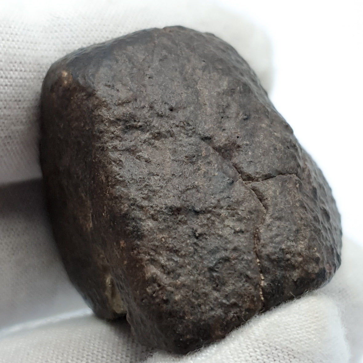 NWA*** (Sin clasificar) - Condrita ordinaria - Individuo completo - 53,1g - África del Noroeste
