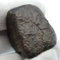 NWA*** (Sin clasificar) - Condrita ordinaria - Individuo completo - 53,1g - África del Noroeste