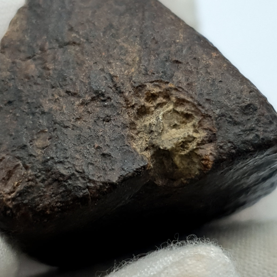 NWA*** (Sin clasificar) - Condrita ordinaria - Individuo completo - 53,1g - África del Noroeste