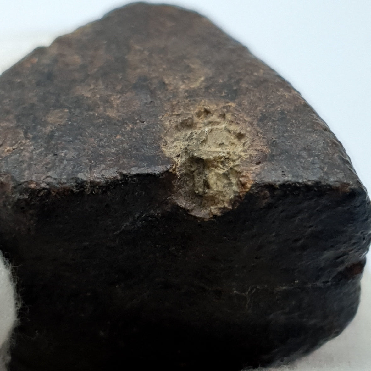 NWA*** (Sin clasificar) - Condrita ordinaria - Individuo completo - 53,1g - África del Noroeste