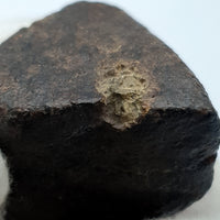 NWA*** (Sin clasificar) - Condrita ordinaria - Individuo completo - 53,1g - África del Noroeste