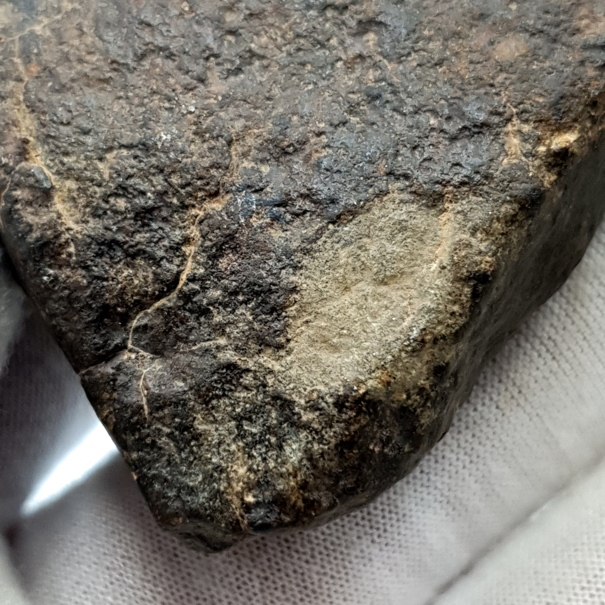 NWA*** (Unclassified) - Ordinary Chondrite - Complete Individual - 115g - Northwest Africa