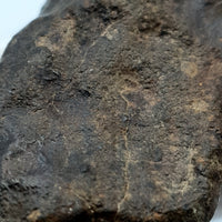 NWA*** (Unclassified) - Ordinary Chondrite - Complete Individual - 115g - Northwest Africa