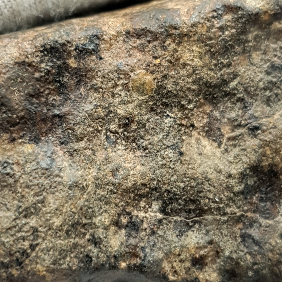 NWA*** (Unclassified) - Ordinary Chondrite - Complete Individual - 115g - Northwest Africa