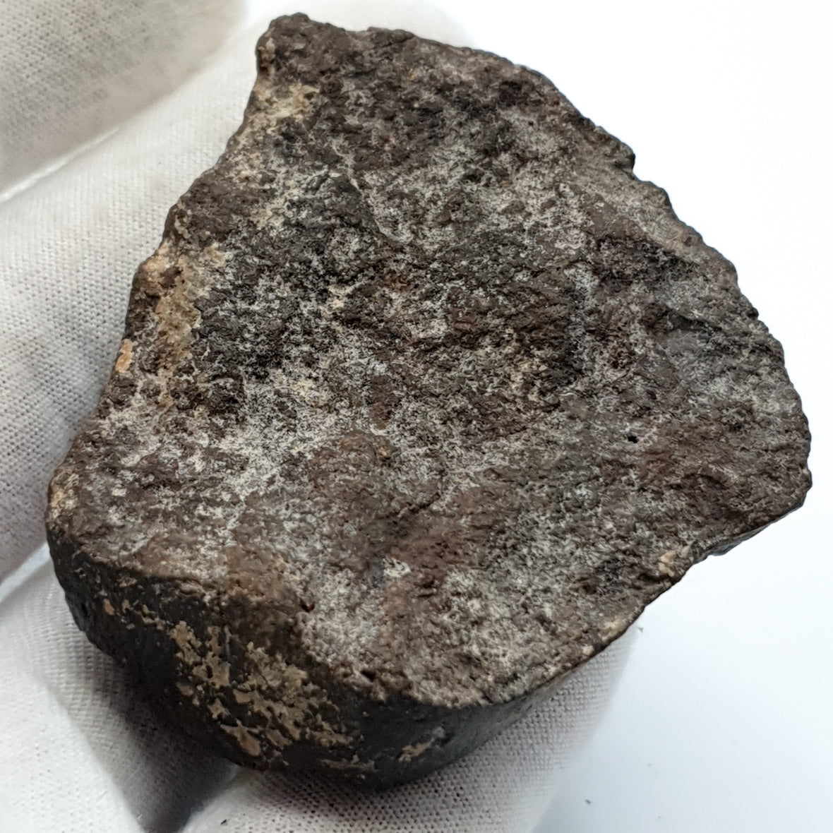 NWA*** (Unclassified) - Ordinary Chondrite - Complete Individual - 97.5g - Northwest Africa