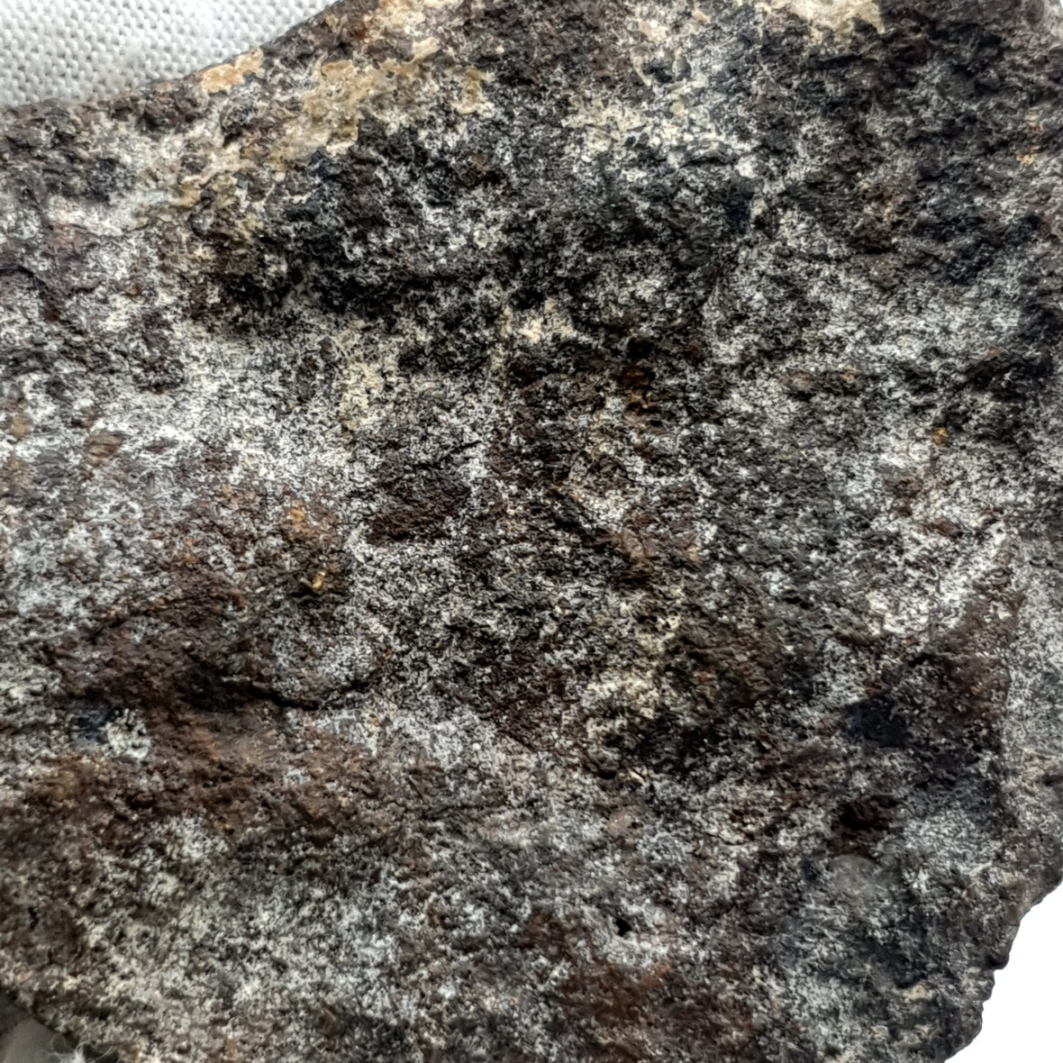 NWA*** (Unclassified) - Ordinary Chondrite - Complete Individual - 97.5g - Northwest Africa