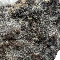 NWA*** (Unclassified) - Ordinary Chondrite - Complete Individual - 97.5g - Northwest Africa