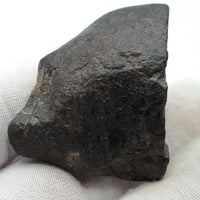 NWA*** (Unclassified) - Ordinary Chondrite - Complete Individual - 56.2g - Northwest Africa