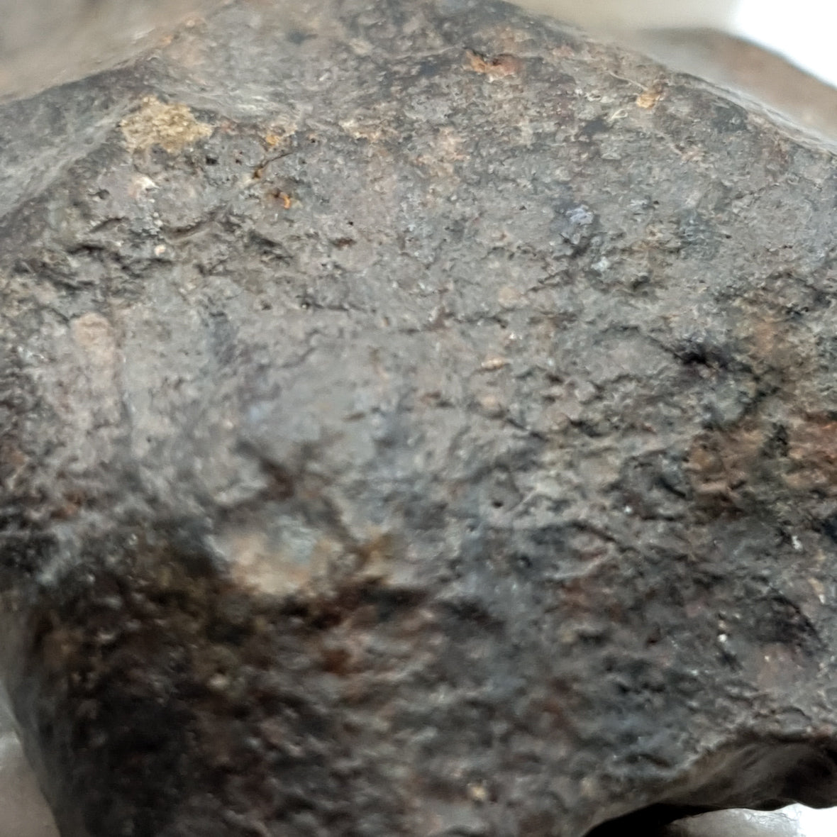 NWA*** (Unclassified) - Ordinary Chondrite - Complete Individual - 56.2g - Northwest Africa