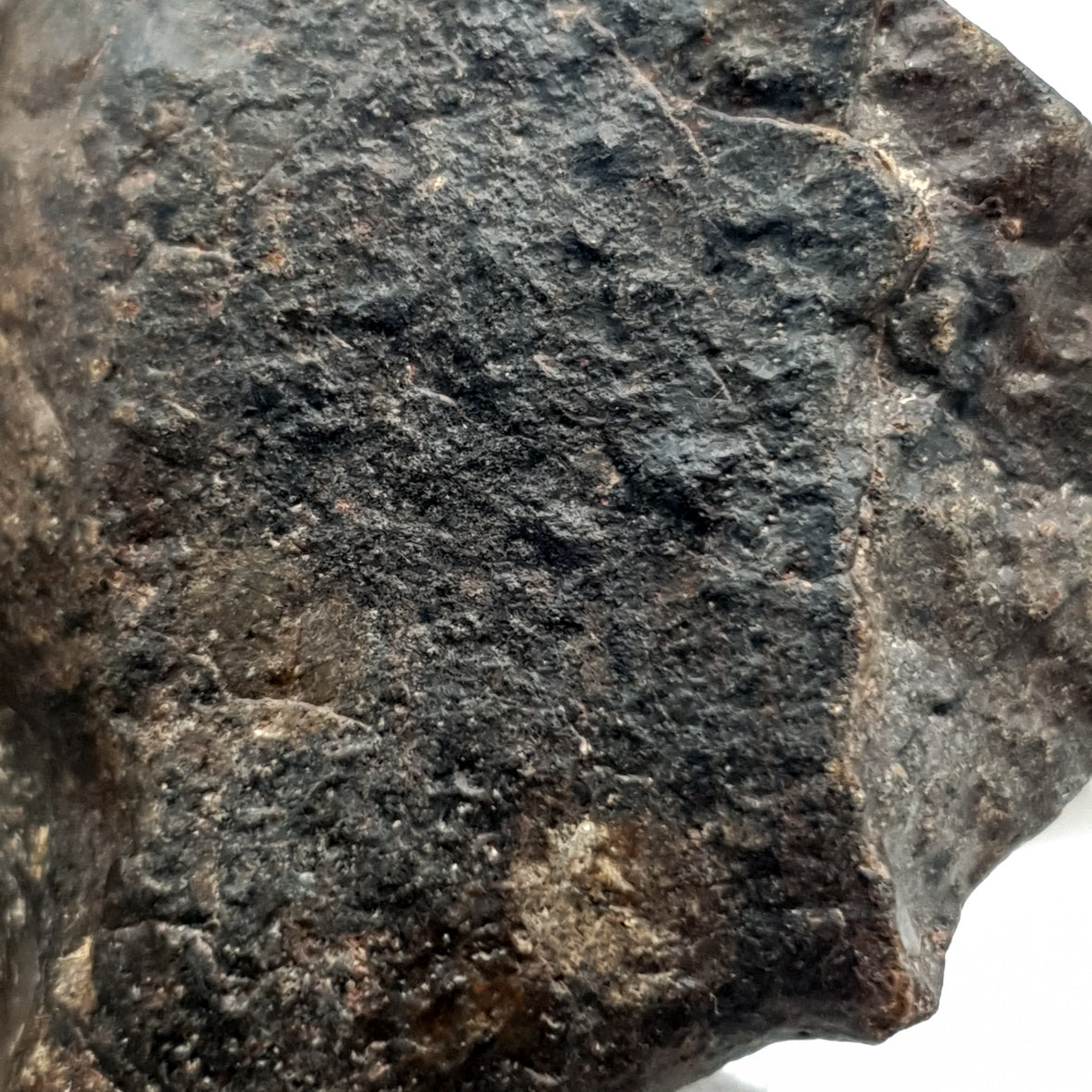 NWA*** (Unclassified) - Ordinary Chondrite - Complete Individual - 56.2g - Northwest Africa