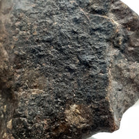 NWA*** (Unclassified) - Ordinary Chondrite - Complete Individual - 56.2g - Northwest Africa