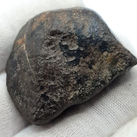 NWA*** (Sin clasificar) - Condrita Ordinaria - Ejemplar Completo - 50.4g - Noroeste de África
