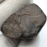 NWA*** (Sin clasificar) - Condrita Ordinaria - Ejemplar Completo - 50.4g - Noroeste de África