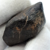 NWA*** (Sin clasificar) - Condrita Ordinaria - Ejemplar Completo - 50.4g - Noroeste de África