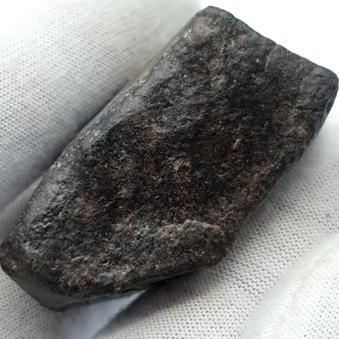 NWA*** (Sin clasificar) - Condrita Ordinaria - Ejemplar Completo - 50.4g - Noroeste de África