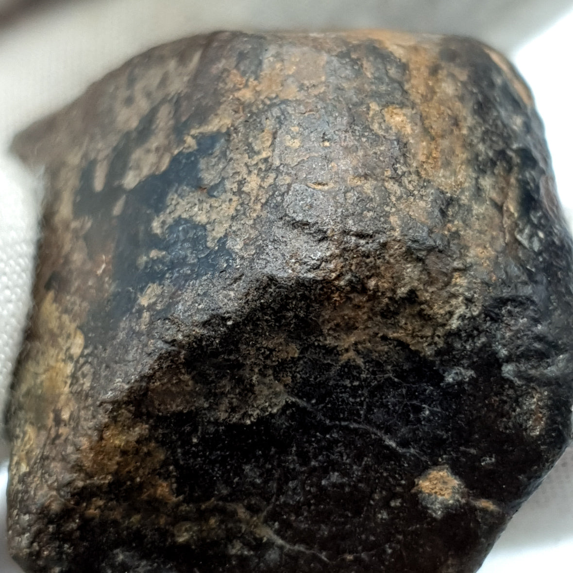 NWA*** (Sin clasificar) - Condrita Ordinaria - Ejemplar Completo - 50.4g - Noroeste de África