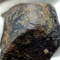 NWA*** (Sin clasificar) - Condrita Ordinaria - Ejemplar Completo - 50.4g - Noroeste de África