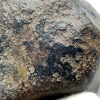 NWA*** (Sin clasificar) - Condrita Ordinaria - Ejemplar Completo - 50.4g - Noroeste de África