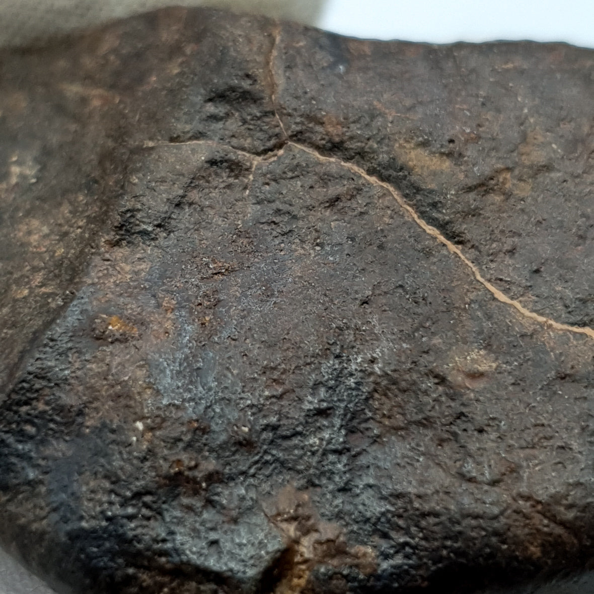 NWA*** (Sin clasificar) - Condrita Ordinaria - Ejemplar Completo - 50.4g - Noroeste de África