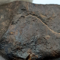 NWA*** (Sin clasificar) - Condrita Ordinaria - Ejemplar Completo - 50.4g - Noroeste de África
