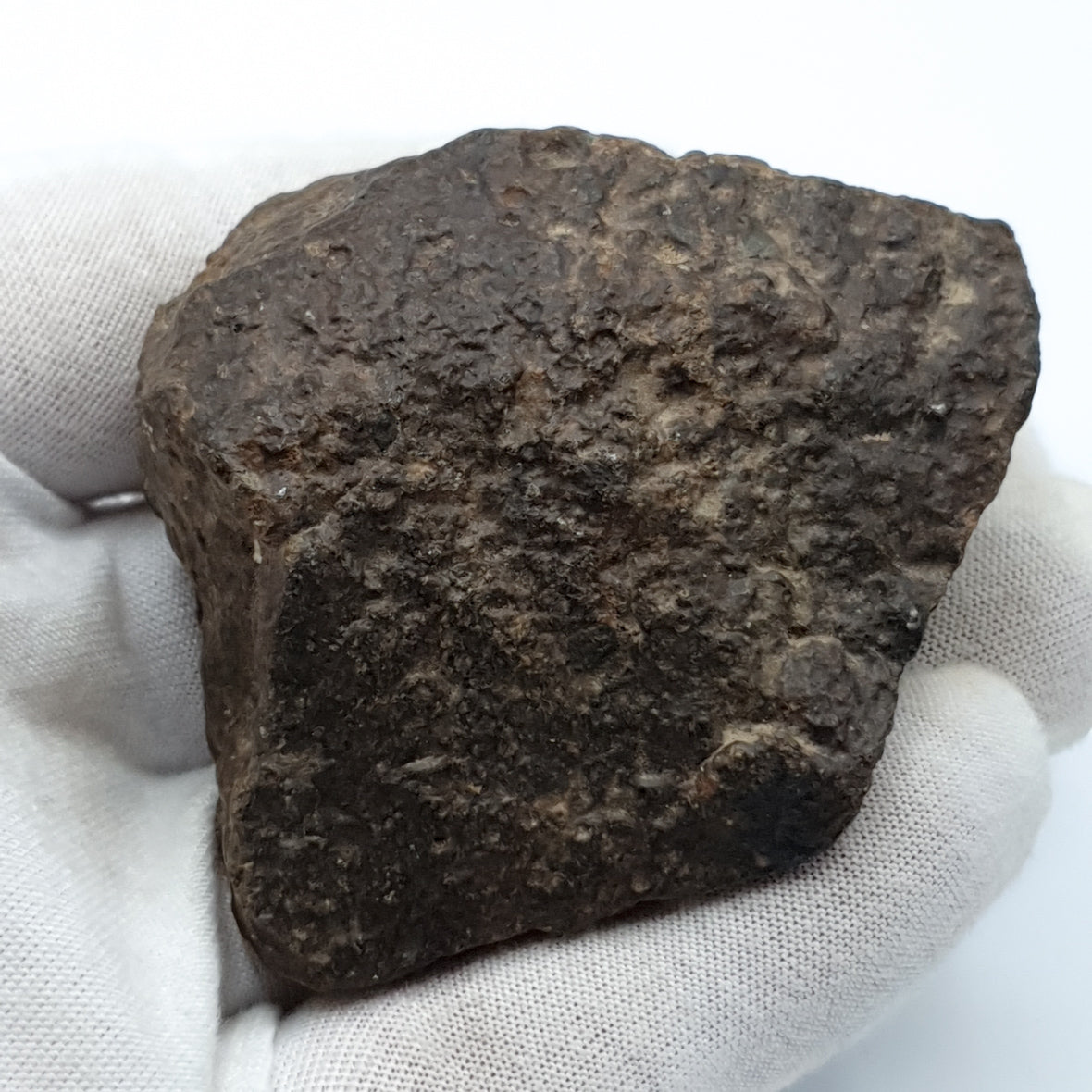 NWA*** (Sin clasificar) - Condrita Ordinaria - Ejemplar Completo - 168.3g - África del Noroeste