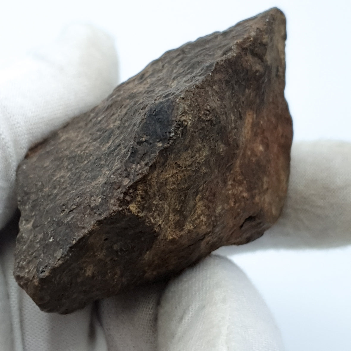NWA*** (Sin clasificar) - Condrita Ordinaria - Ejemplar Completo - 168.3g - África del Noroeste