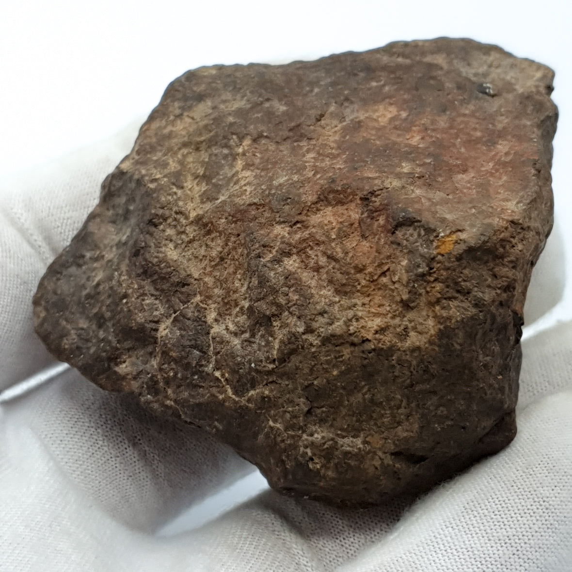NWA*** (Sin clasificar) - Condrita Ordinaria - Ejemplar Completo - 168.3g - África del Noroeste