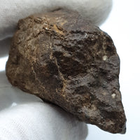 NWA*** (Sin clasificar) - Condrita Ordinaria - Ejemplar Completo - 168.3g - África del Noroeste