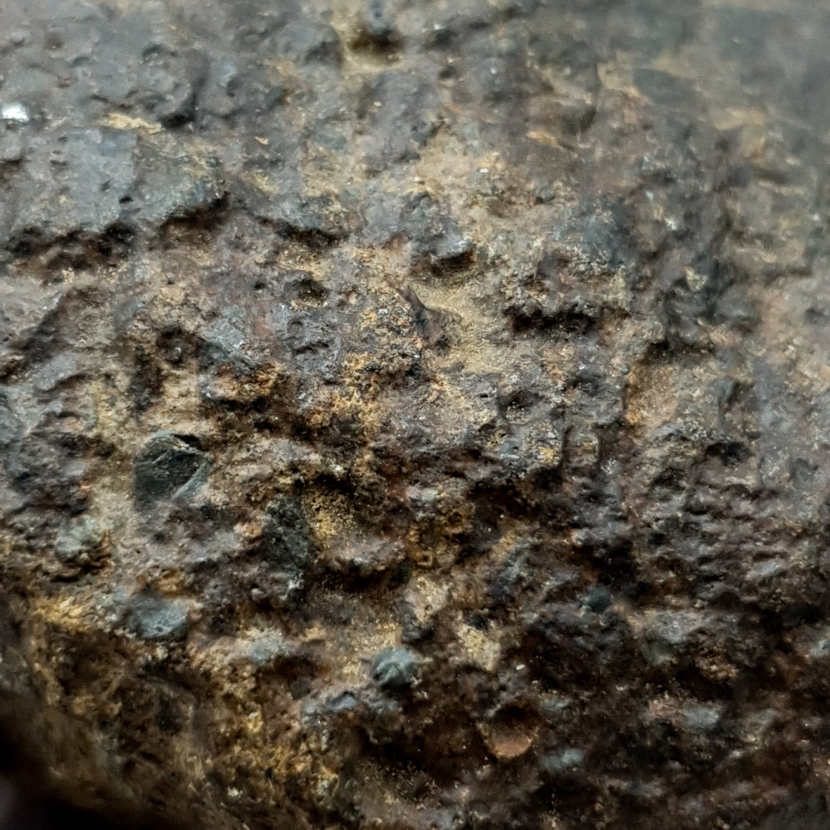 NWA*** (Sin clasificar) - Condrita Ordinaria - Ejemplar Completo - 168.3g - África del Noroeste