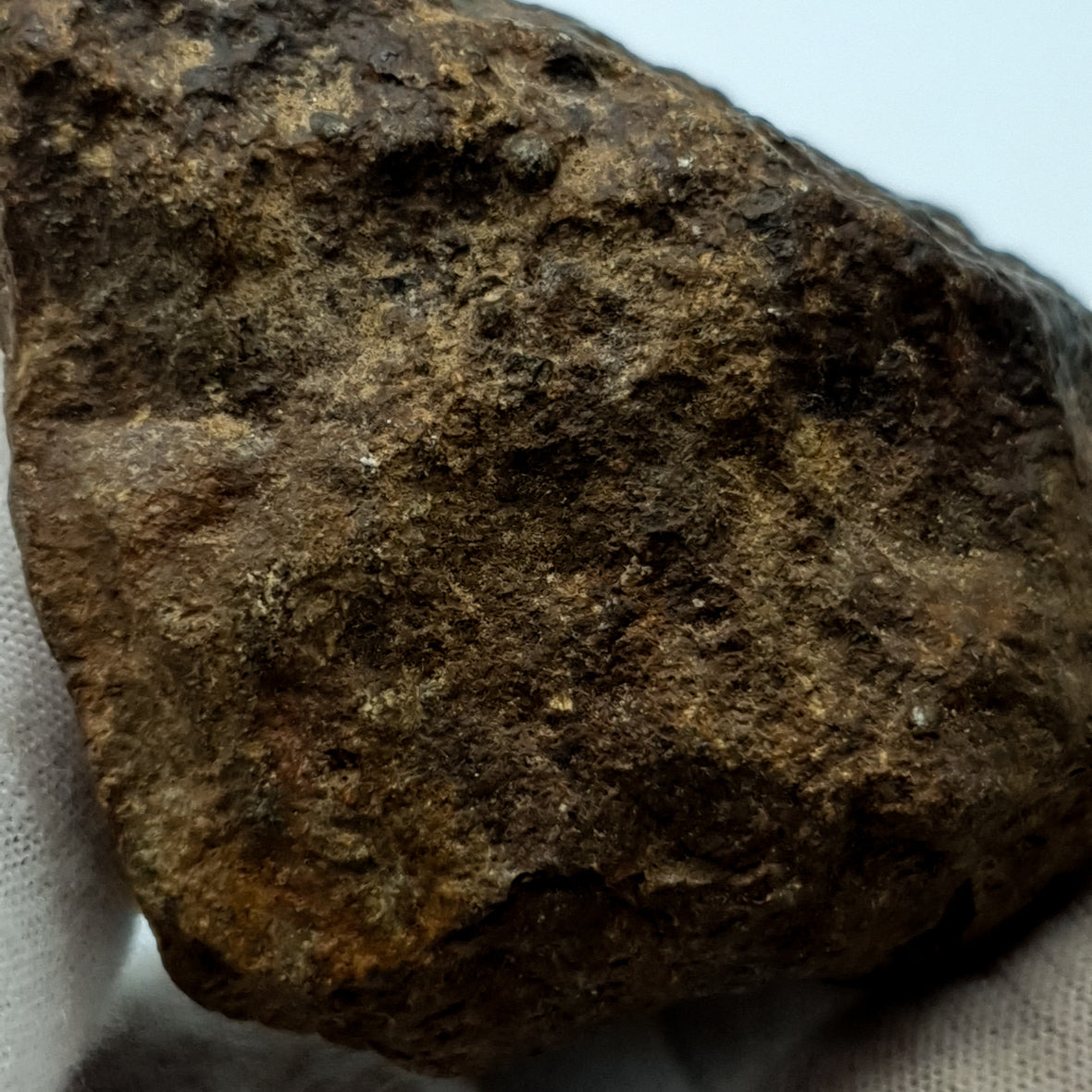 NWA*** (Sin clasificar) - Condrita Ordinaria - Ejemplar Completo - 168.3g - África del Noroeste