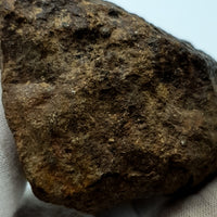 NWA*** (Sin clasificar) - Condrita Ordinaria - Ejemplar Completo - 168.3g - África del Noroeste
