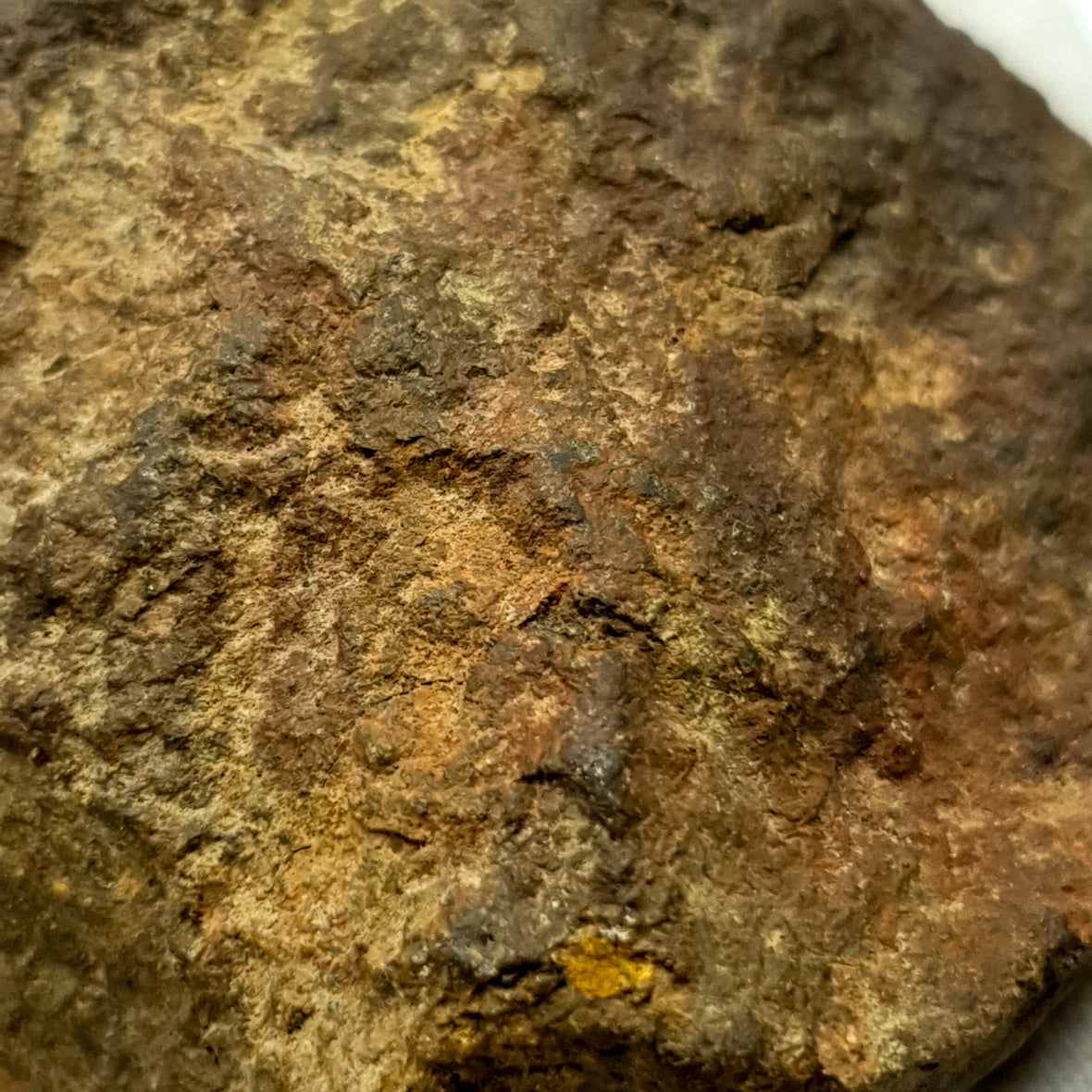 NWA*** (Sin clasificar) - Condrita Ordinaria - Ejemplar Completo - 168.3g - África del Noroeste