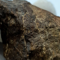 NWA*** (Sin clasificar) - Condrita Ordinaria - Ejemplar Completo - 168.3g - África del Noroeste