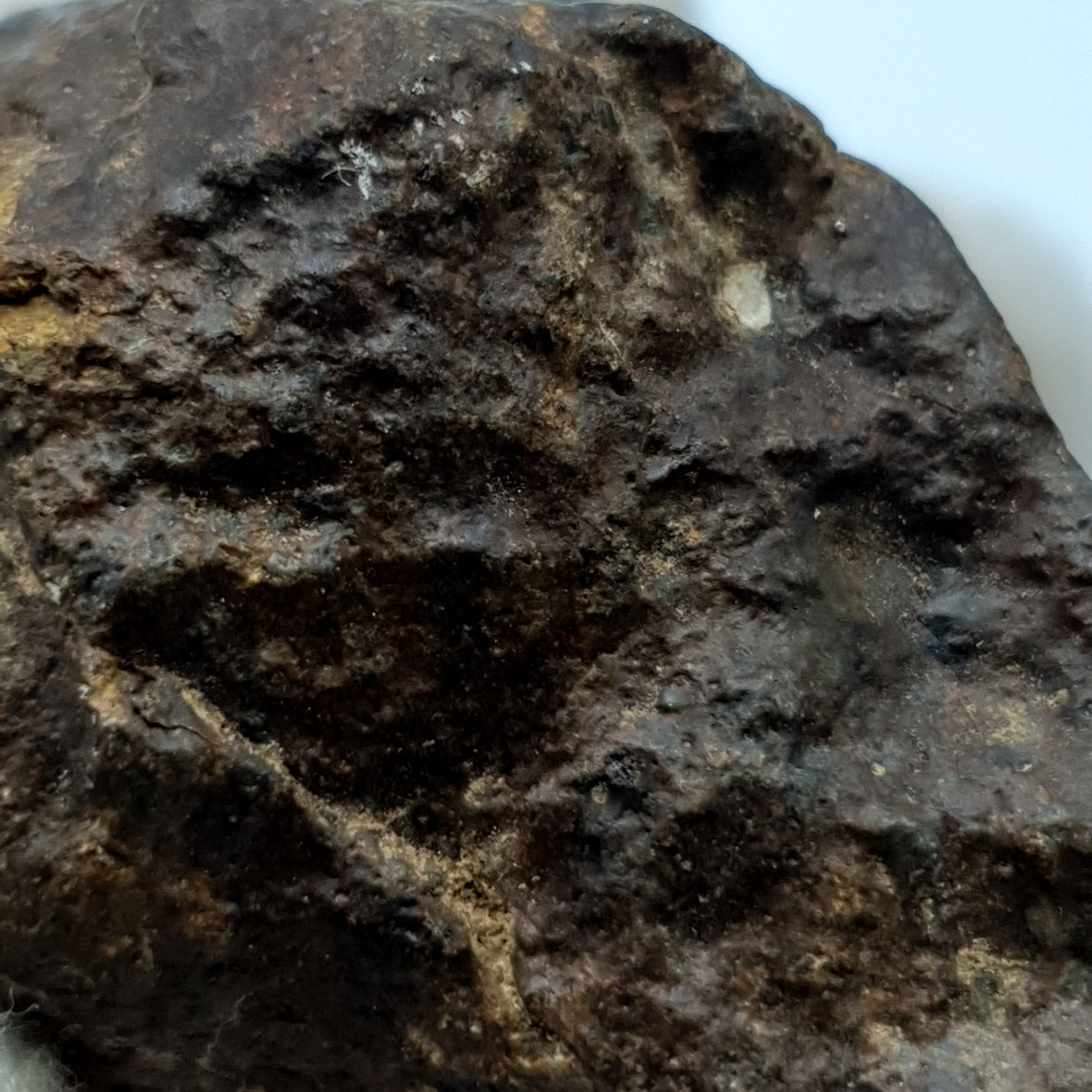 NWA*** (Sin clasificar) - Condrita Ordinaria - Ejemplar Completo - 168.3g - África del Noroeste