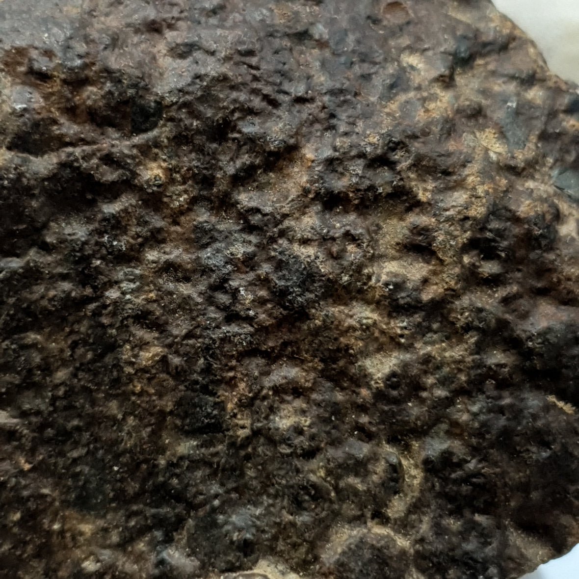 NWA*** (Sin clasificar) - Condrita Ordinaria - Ejemplar Completo - 168.3g - África del Noroeste