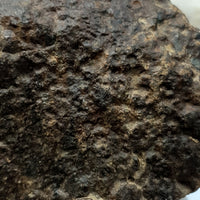 NWA*** (Sin clasificar) - Condrita Ordinaria - Ejemplar Completo - 168.3g - África del Noroeste