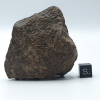 NWA*** (Sin clasificar) - Condrita Ordinaria - Ejemplar Completo - 168.3g - África del Noroeste