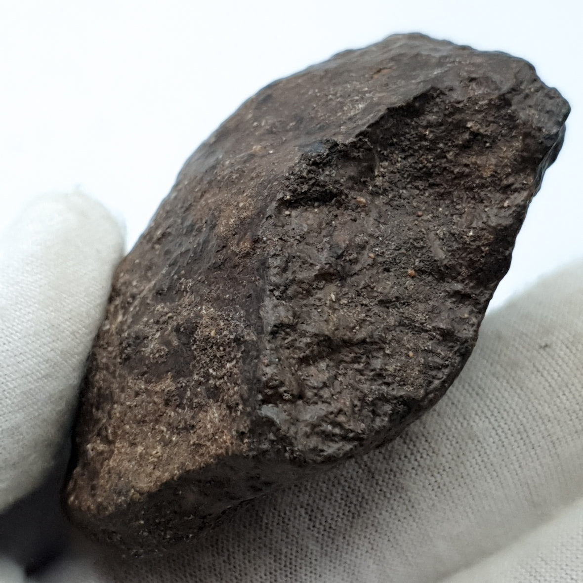 NWA*** (Unclassified) - Ordinary Chondrite - Complete Individual - 126g - Northwest Africa