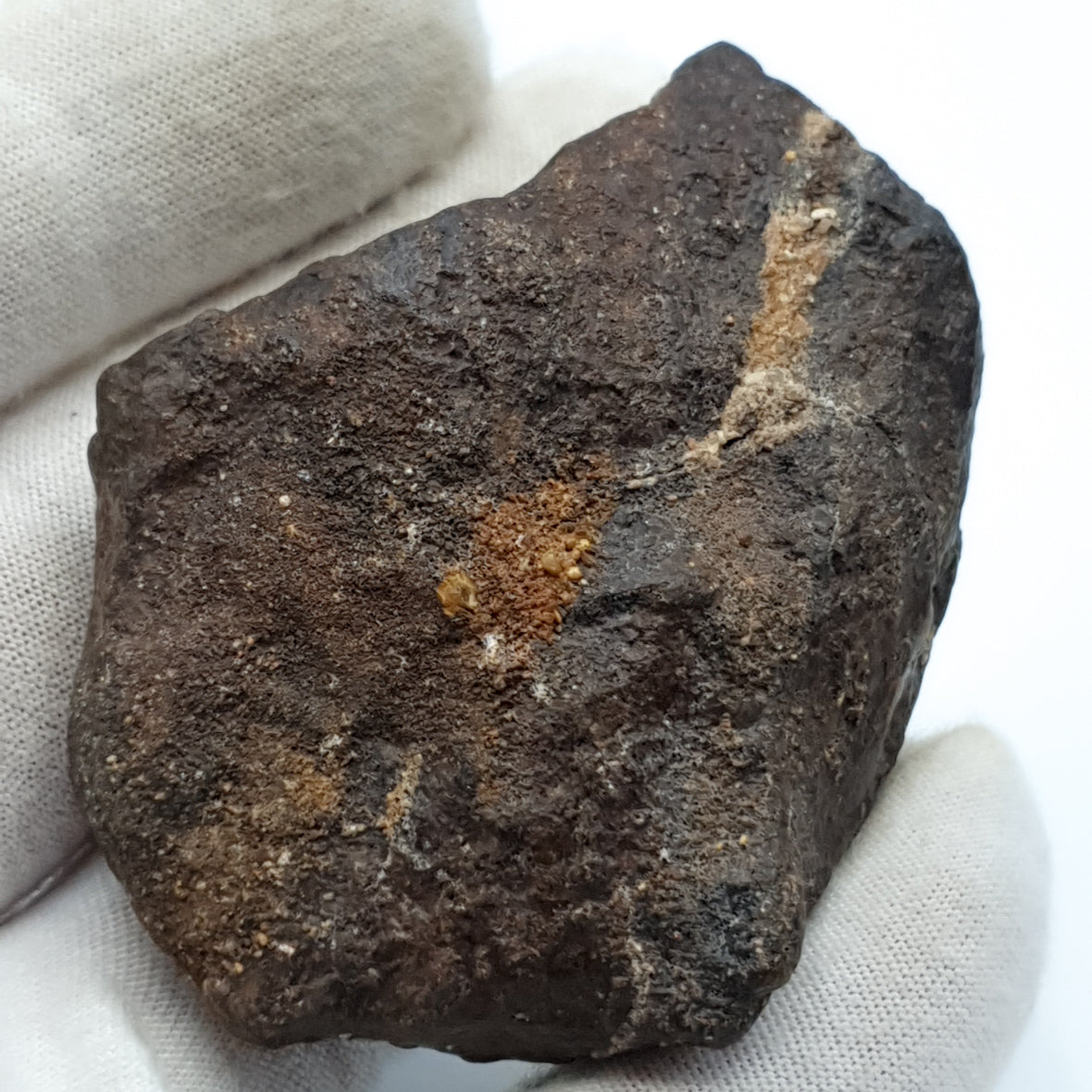 NWA*** (Unclassified) - Ordinary Chondrite - Complete Individual - 126g - Northwest Africa