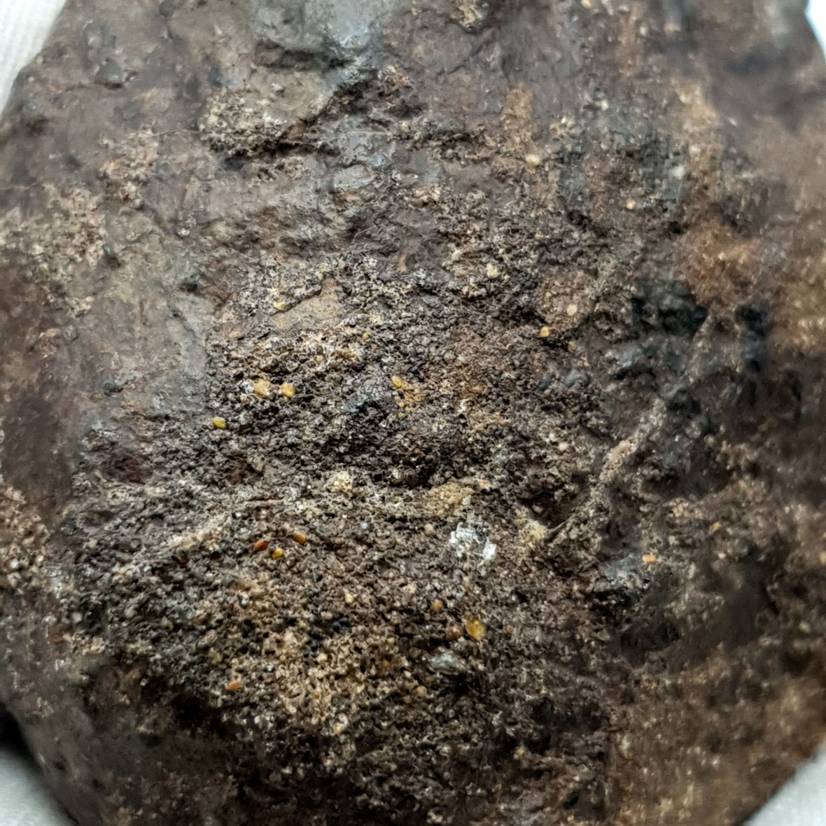 NWA*** (Unclassified) - Ordinary Chondrite - Complete Individual - 126g - Northwest Africa