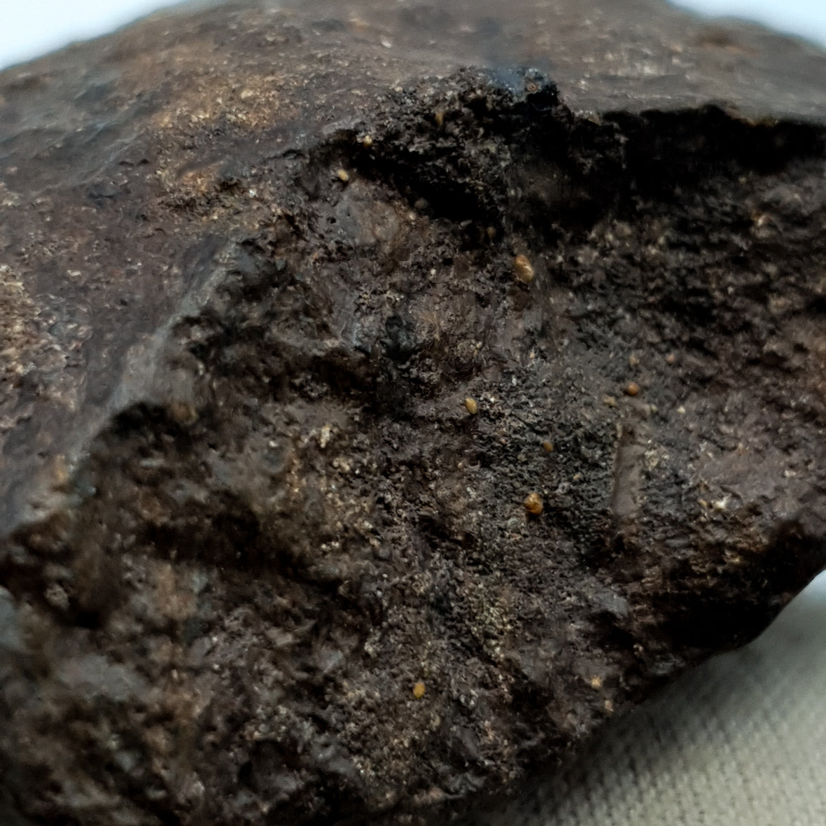 NWA*** (Unclassified) - Ordinary Chondrite - Complete Individual - 126g - Northwest Africa
