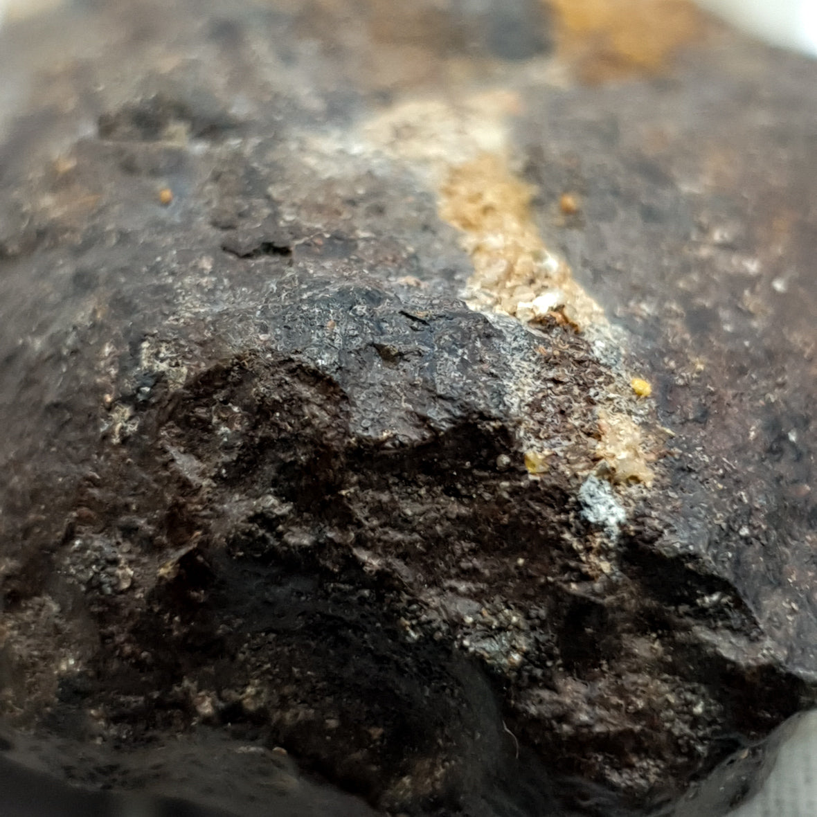 NWA*** (Unclassified) - Ordinary Chondrite - Complete Individual - 126g - Northwest Africa